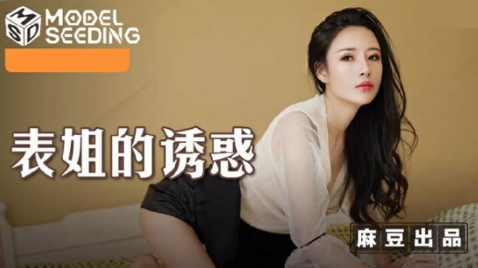 表姐的诱惑陈小雨