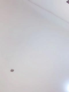 2气质尤物极品美女！白丝衬衣诱惑！粉嫩肥穴道具自慰，美腿足交磨蹭骚逼